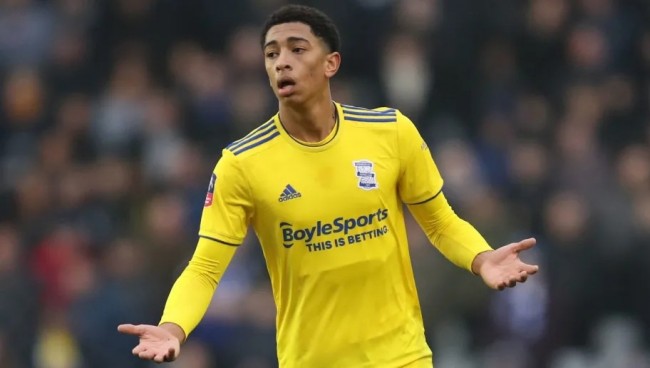 人选共振的 人选共振的